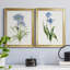 «Blue Lived Botanical I», ensemble de 2 reproductions d'art sur toile encadrées-61455436-61455434