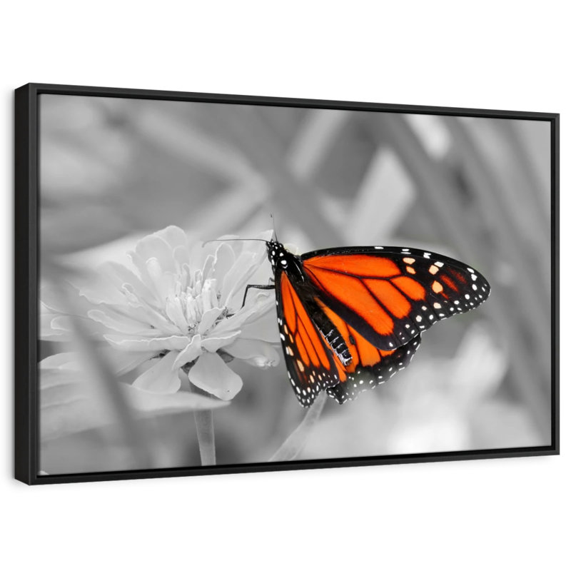 «Orange Butterfly Wonder Wall Art», H 21 po x l 31 po