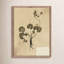 Petite Study No. VI By Hannah Winters-253456417