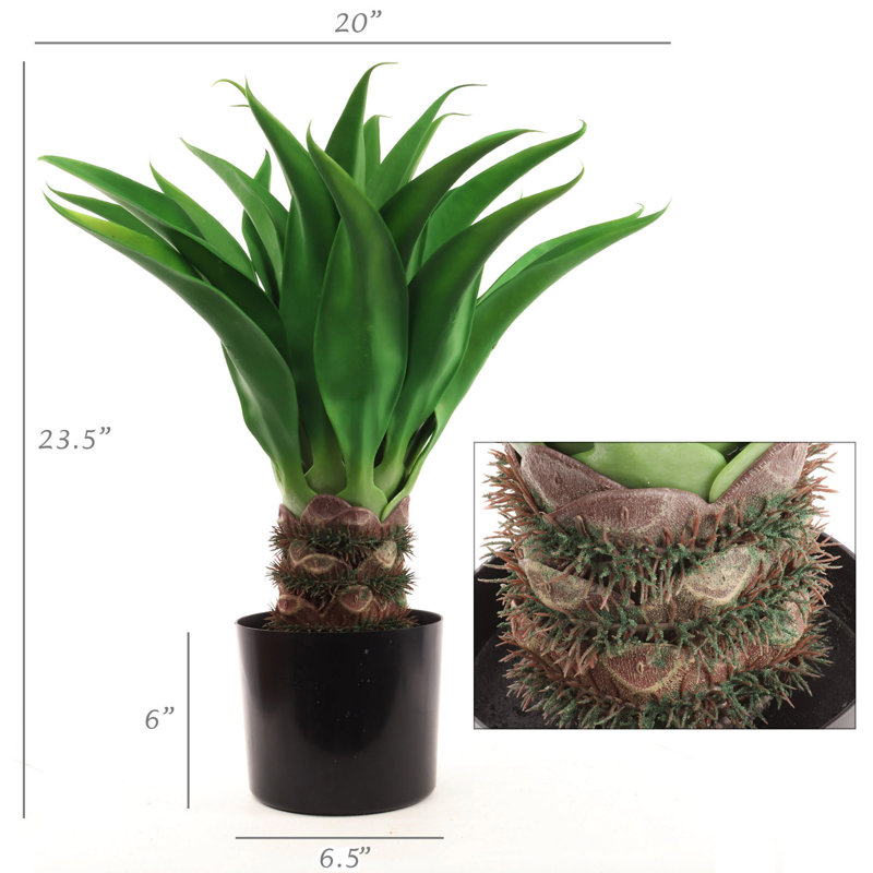 Plante grasse artificielle 24 po en pot