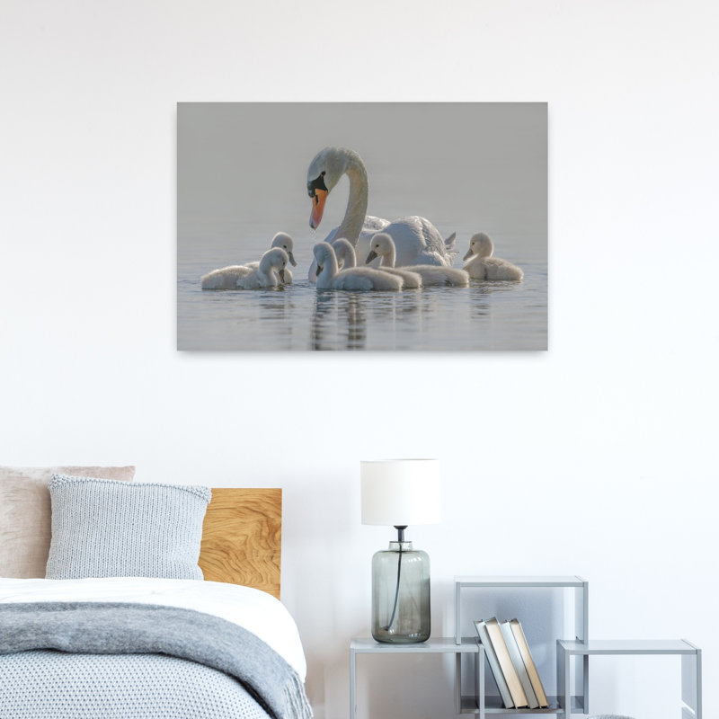 Serene Swan Family Elegant Peaceful Serene Bird Nature Wildlife Wall Art Print 1 Piece Wrapped Canvas Wall Art