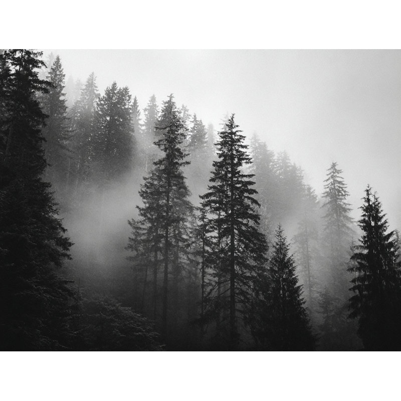 Art mural sur toile Misty Hillside Pines, H 24 po x l 36 po