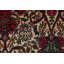 Beauté complexe: tapis traditionnel 5 x 3