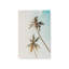 Impression sur toile tendue Sunlit Palm Sky-253560057-253560061