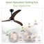 Ventilateur de plafond 52 po-1070998727-1070998725