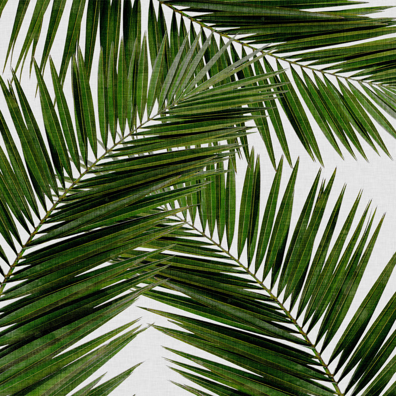 " Orara Studio Palm Leaf III ", 20" H x 20" W  