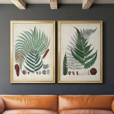 Collection Ferns I - ensemble de 2 reproductions d'art sur toile encadrées