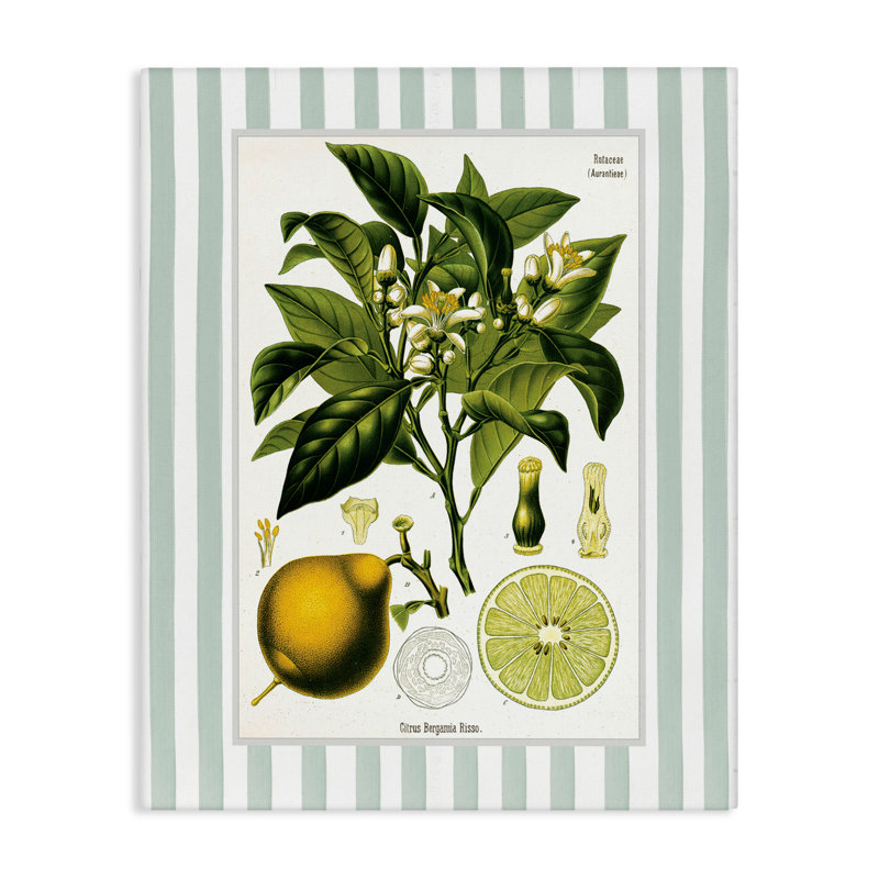 Toile à rayures vertes Lemon Plant, design par Lettré et doublé, H 20 po x l 16 po
