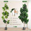 Figuier 7 pi 7 pi artificiel avec 139 feuilles - Faux Ficus Lyrata réalistes dans un pot à fleurs blanc de 9 po, cadeau de pendaison de crémaillère
