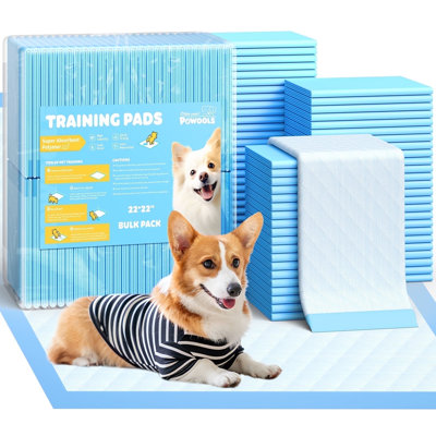 Puppy Pads, Large 22" x 22", Super Absorbent 6-Layer Dog Pads, 100 Count