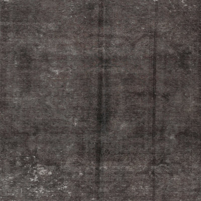 Oriental Indoor Rug