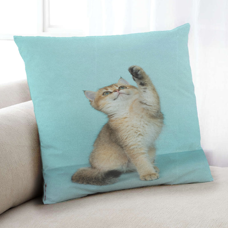 Throw Pillow, Microsuede