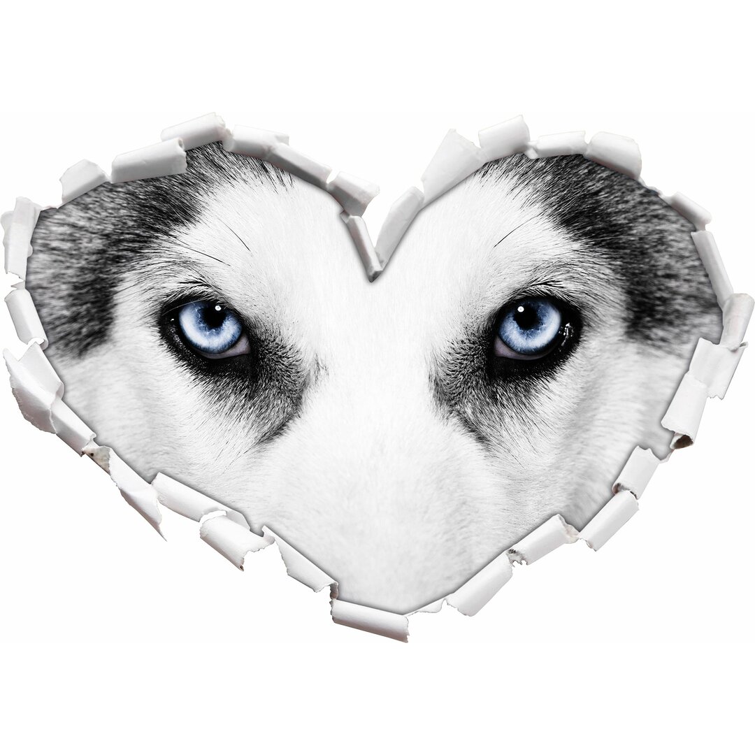 Wandtattoo Husky mit Eisblauen Augen