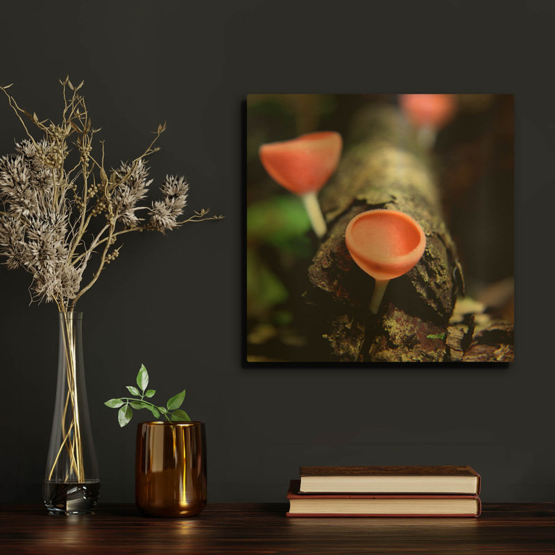 «Fungus» par Dana Brett Munach, art mural en métal doré, 12 po x 12 po, 12 po x 12 po
