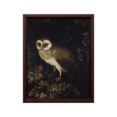 Moses Haughton - An Owl