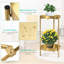 Support pour plante rond multiniveaux-375288389
