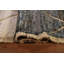 Tapis marocain Trellis noué à la main 10 x 14 po