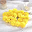 Arrangement de souci-1194958468
