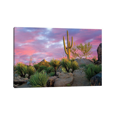 Cactus Garden Sunrise by Dennis Frates - Print on Canvas