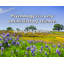 Artsy Quote "Psychology is a very unsatisfactory science." By Wolfgang Köhler Gallery Wrapped Canvas-1474932881