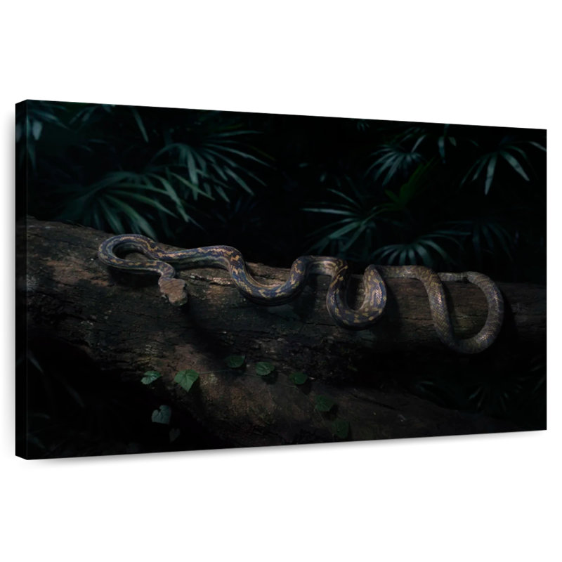 Python australien Brampt, H 20 po x l 30 po
