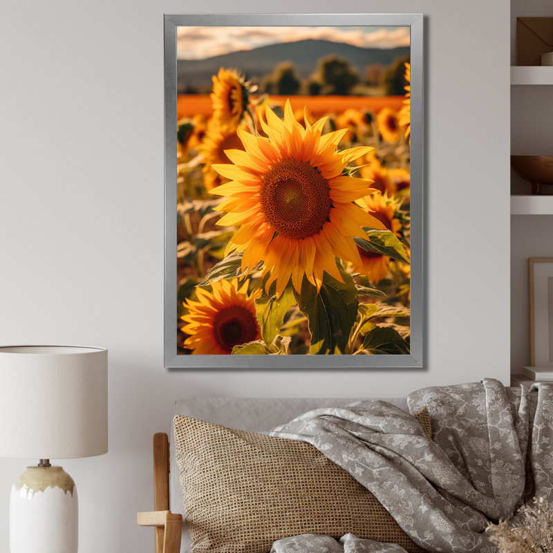 Tournesol doré au coucher du soleil I, H 32 po x l 24 po x P 1 po, Cadre photo argenté