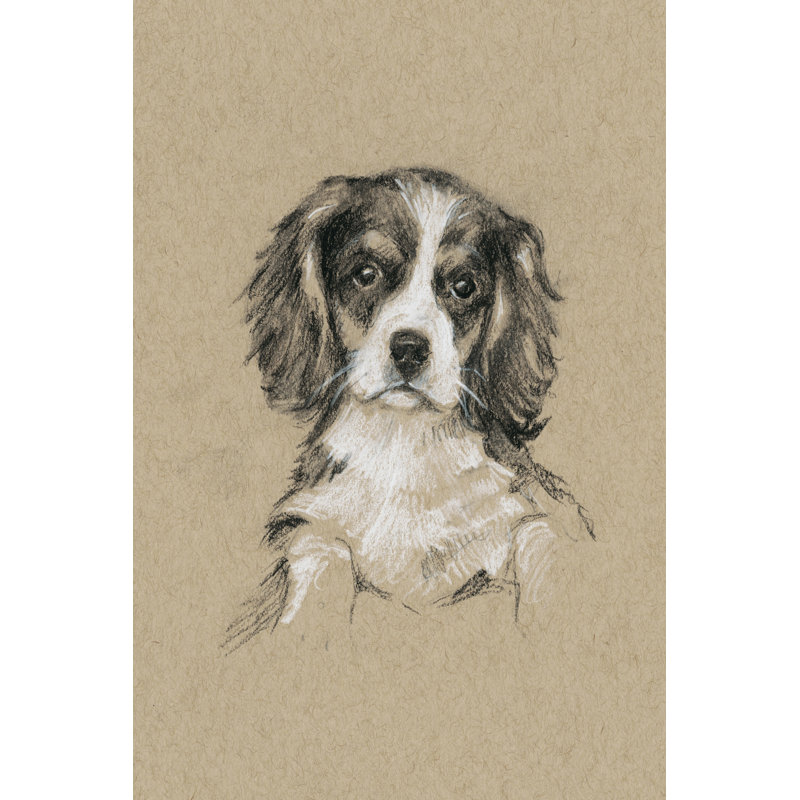 'Breed Sketches III' by Ethan Harper - Painting Print, 30cm H x 20cm W, Wrapped Canvas