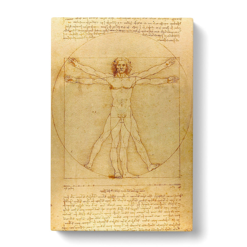 Vitruvian Man Vol.1 by Leonardo Da Vinci - Wrapped Canvas Painting, 60cm H x 40cm W x 3cm D
