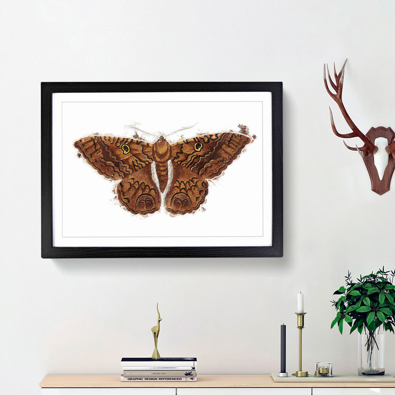 Sable Moth by George Shaw - Framed Print, 27cm H x 36cm W x 2cm D, Black Framed