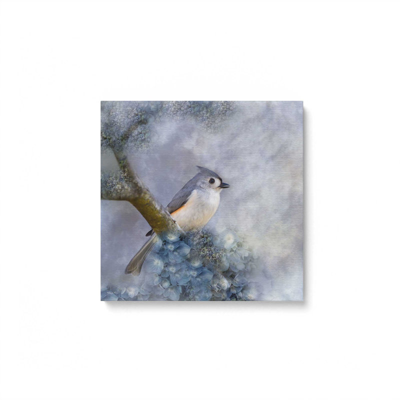 Reproduction d'art touffetée Titmouse I par Robin-Lee Vieira, Toile non encadrée, L 36 x H 36, Ne s’applique pas