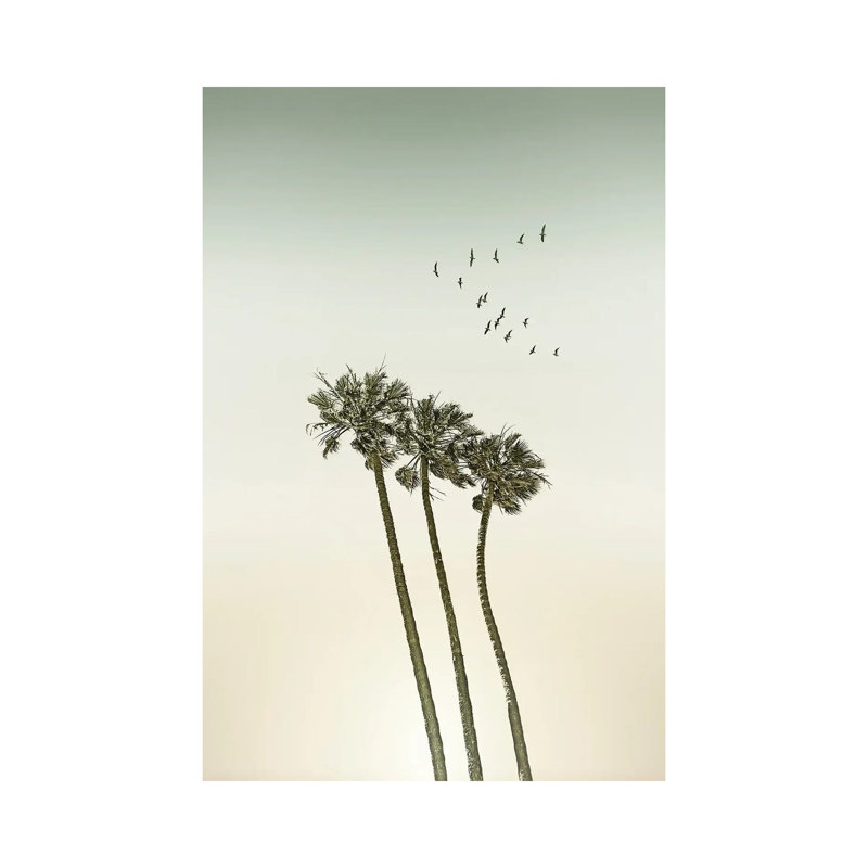 Palm Trees & Sunset | Vintage by Melanie Viola - Wrapped Canvas Print, 20.32 cm H x 30.48 cm W