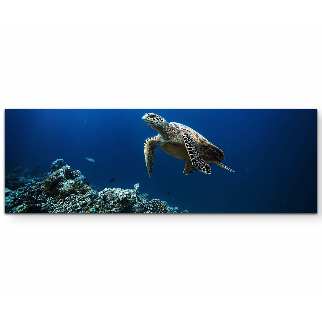 Leinwandbild Sea Turtle