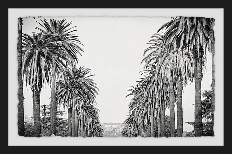 «Palm Tree Avenue» par Morgan Hartley - reproduction de photo encadrée, H 30 po x l 45 po