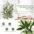 72 " H Faux Olive Tree in Plastic and Cement Pot