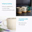 Atac Ceramic Teacup and Saucer-646936586