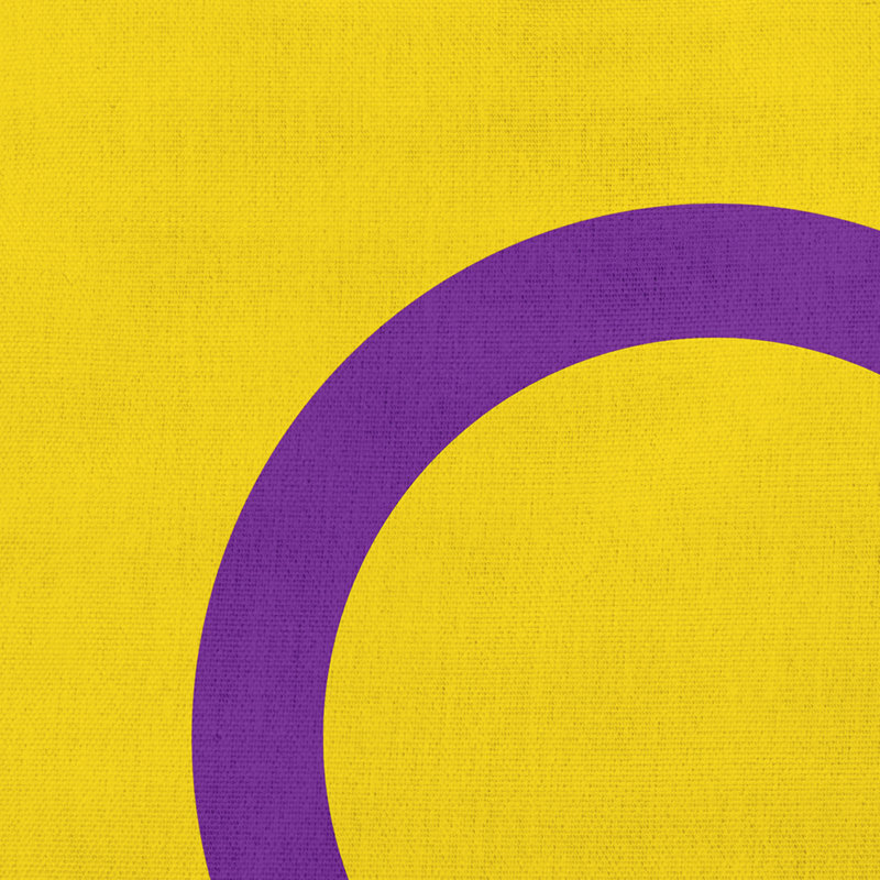 Coussin décoratif O5_Intersex Flag, H 18 po x l 18 po