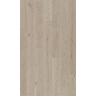 Revêtement de sol en bois franc d’ingénierie 9/16 po x l 8,66 po x l Irving Park