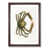 Walnut Framed selected