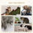 16cm H Cat Tree-92871784