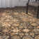 Vatsal Hand Hooked Wool Oriental Indoor Rug