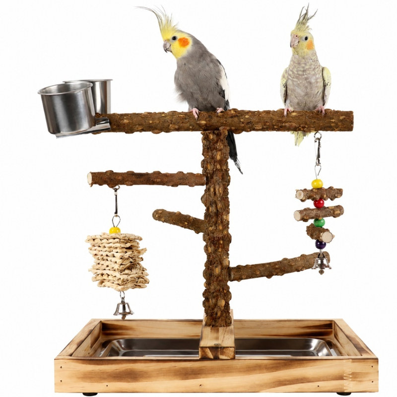 Support de jeu pour perroquet en bois de poivre épais, perchoir multi-branches avec jouets à mâcher suspendus et tasses en acier inoxydable, aire de jeu pour petits perroquets moyens
