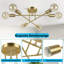 6-Light Chandelier-830455293