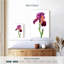 Harnek, belle fleur d'iris-108442928
