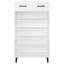 10 Pair Shoe Storage Cabinet-381317067