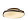 Flora 2 - Light 13.9" Flush Mount