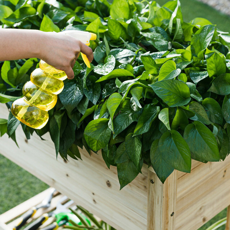 Cayuga Wood Raised Garden Bed