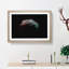 Moon - Picture Frame Graphic Art Print-55732185-55732184