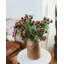 Artificial Montana Rose Hip 23.5"-1231080858-1231080859