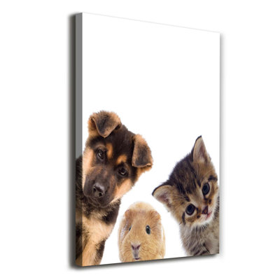 Pets - Wrapped Canvas Print