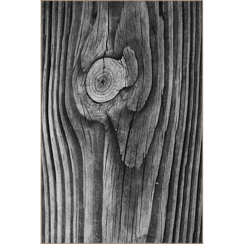 Black Tree Themed Soft Patterned Woven Base Washable Rug, Runner 3'3" x 6'7" Rug Pad Included